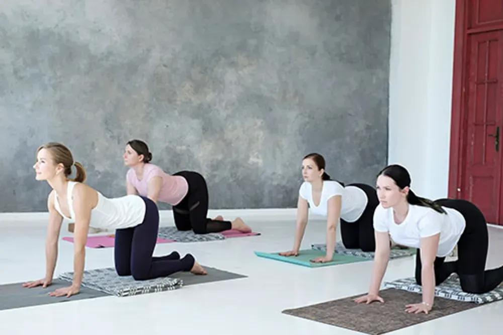 Gym dos sport santé